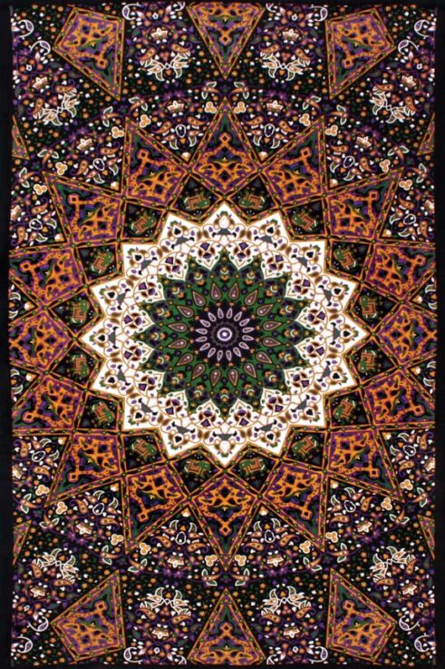 3D Indian star tapestry - hippie art with elephants includes FREE 3D Glasses
